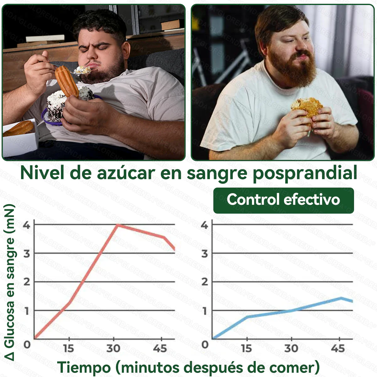 GLORENDA®  60 Parches avanzados de micronanoalga. Para la obesidad, piel flácida, diabetes, apnea del sueño, problemas articulares y mucho más.